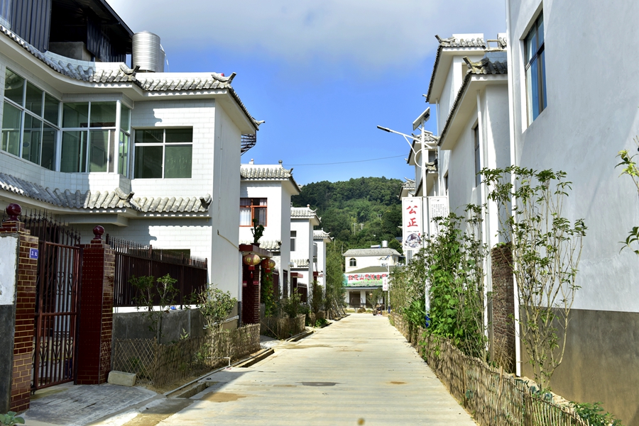 跿ͷ壺챼С ׵ذǨԲΡ